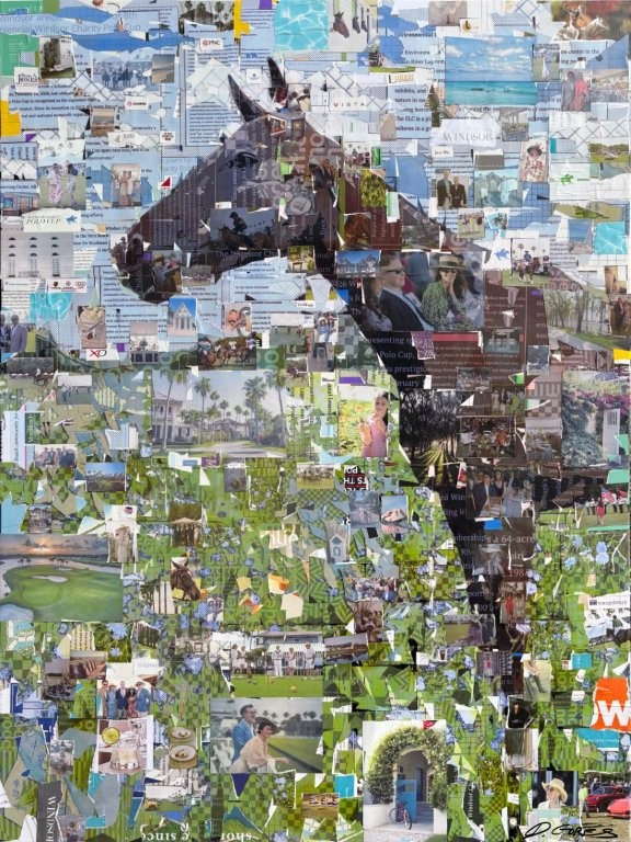 Windsor Charity Polo Cup Commemorative Artwork "Natural Wonders"